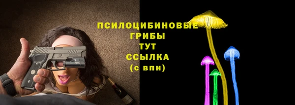 круглые Абаза