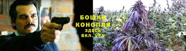 круглые Абаза