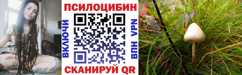 Галлюциногенные грибы Psilocybine cubensis  хочу наркоту  Беломорск 